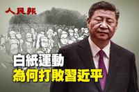 “白纸运动”为何打败习近平 （视频）