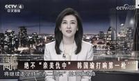 央视高调挺韩国瑜 名嘴：央视赞谁 谁就完（图）